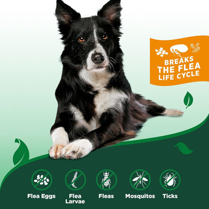 Vet's Best Indoor Flea and Tick Spray - Dog Flea and Tick Treatment for Home, Plant-Based Formula with Natural Oils, Kills Fleas, Eggs & Ticks on Contact, Made in USA, 32 oz - Image 4