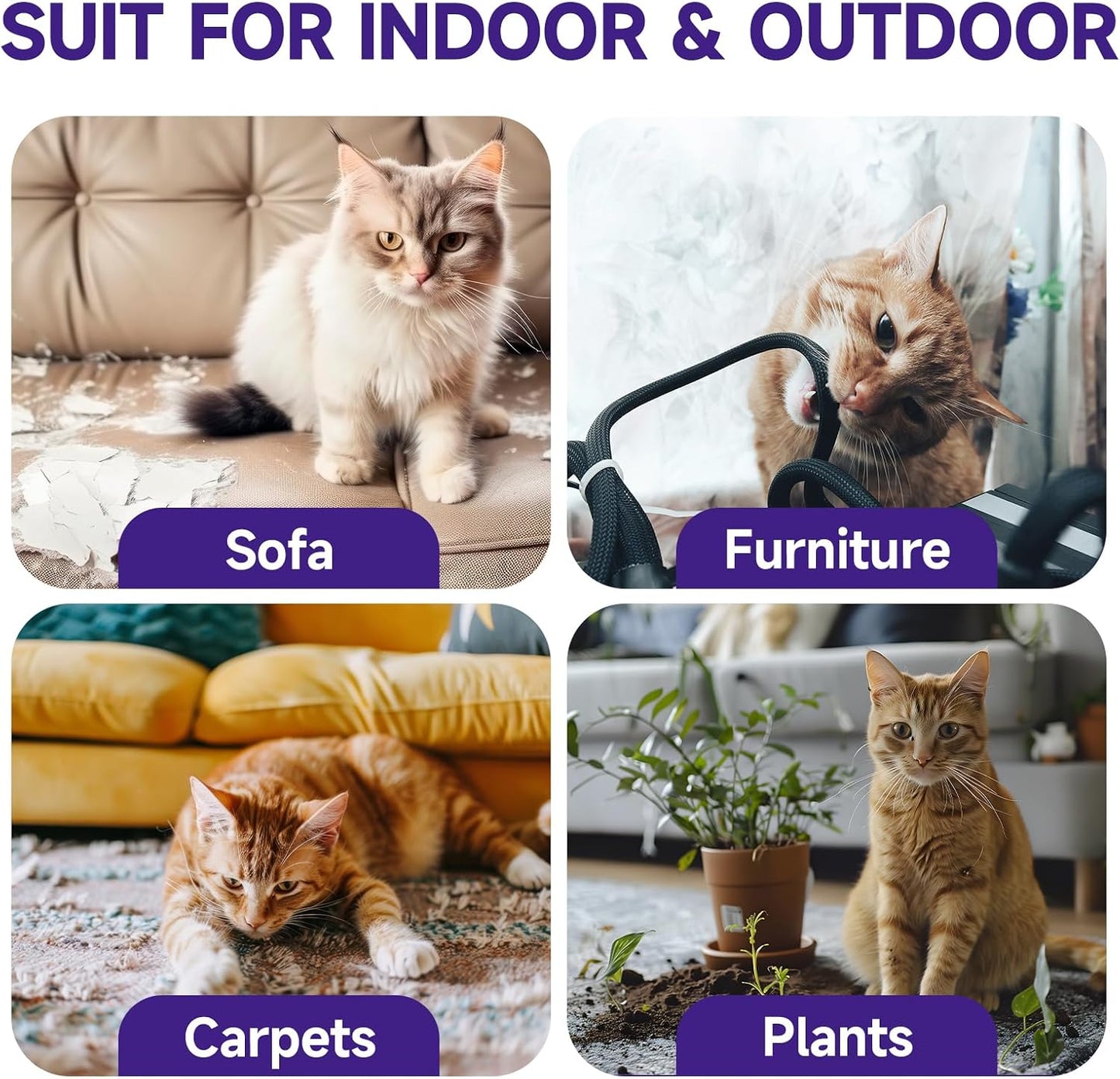 WEALLIN Cat Deterrent Spray, 6.76 FL Oz Natural Cat Repellent Spray Indoor & Outdoor, Anti-Scratch Training Aid for Furniture, Sofas, Rugs, Curtains, Plants - Non-Toxic, Alcohol-Free Formula - Image 4