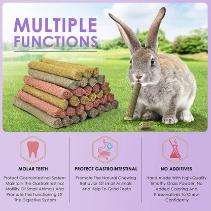 Compressed molar chew toys for bunnies and guinea pigs close up