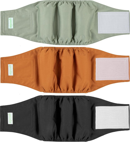 Wegreeco authentic imported male dog belly wrap packaging view