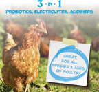 Back of Manna Pro Hydro-Hen packaging with guaranteed analysis and ingredients.