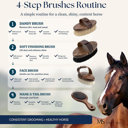 Specialized gentle equine face brush and tail comb for precise detail grooming.