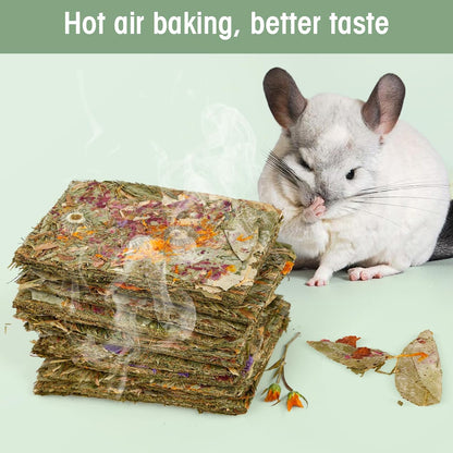 Abizoo small pet crisp snacks arranged to display the ten count premium packaging.