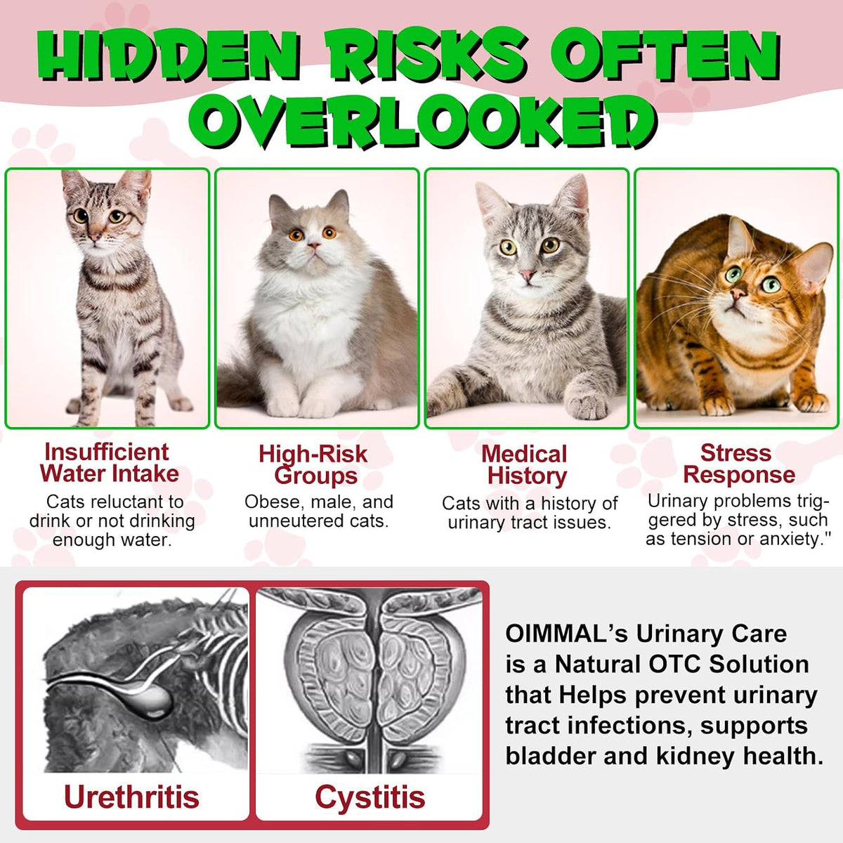 Premium liquid supplement for feline lower urinary tract wellness