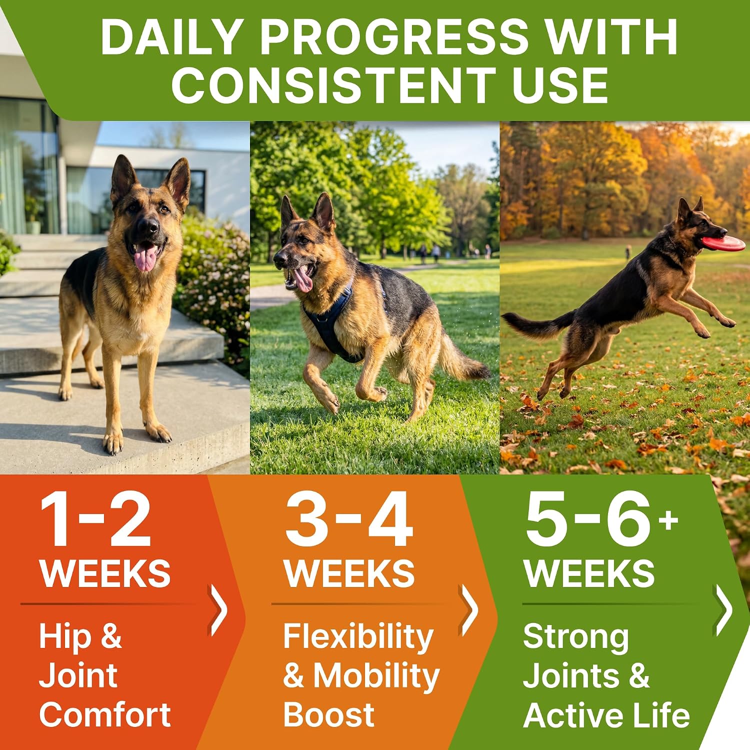 StrellaLab veterinary formulated advanced hip joint care formula for senior dogs