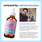 Taily liquid collagen biotin and hyaluronic acid pet supplement