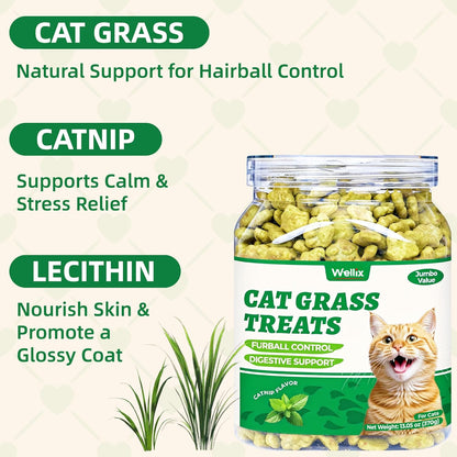 Close up of healthy hairball control cat treats for indoor cats