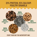 Hatortempt poultry supplement bag showing black soldier fly larvae and mealworms