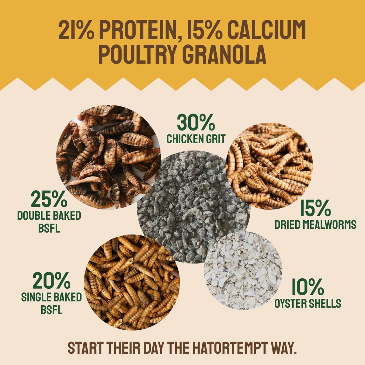 Hatortempt poultry supplement bag showing black soldier fly larvae and mealworms