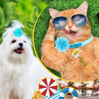 Sadnyy bulk assortment of one hundred and twenty piece decorative pet flower collar sliders.