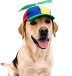 Ifnov Propeller Pet Hat front view showing green helicopter design