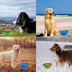 Comsun travel pet feeding bowl set flat expanded view imported quality