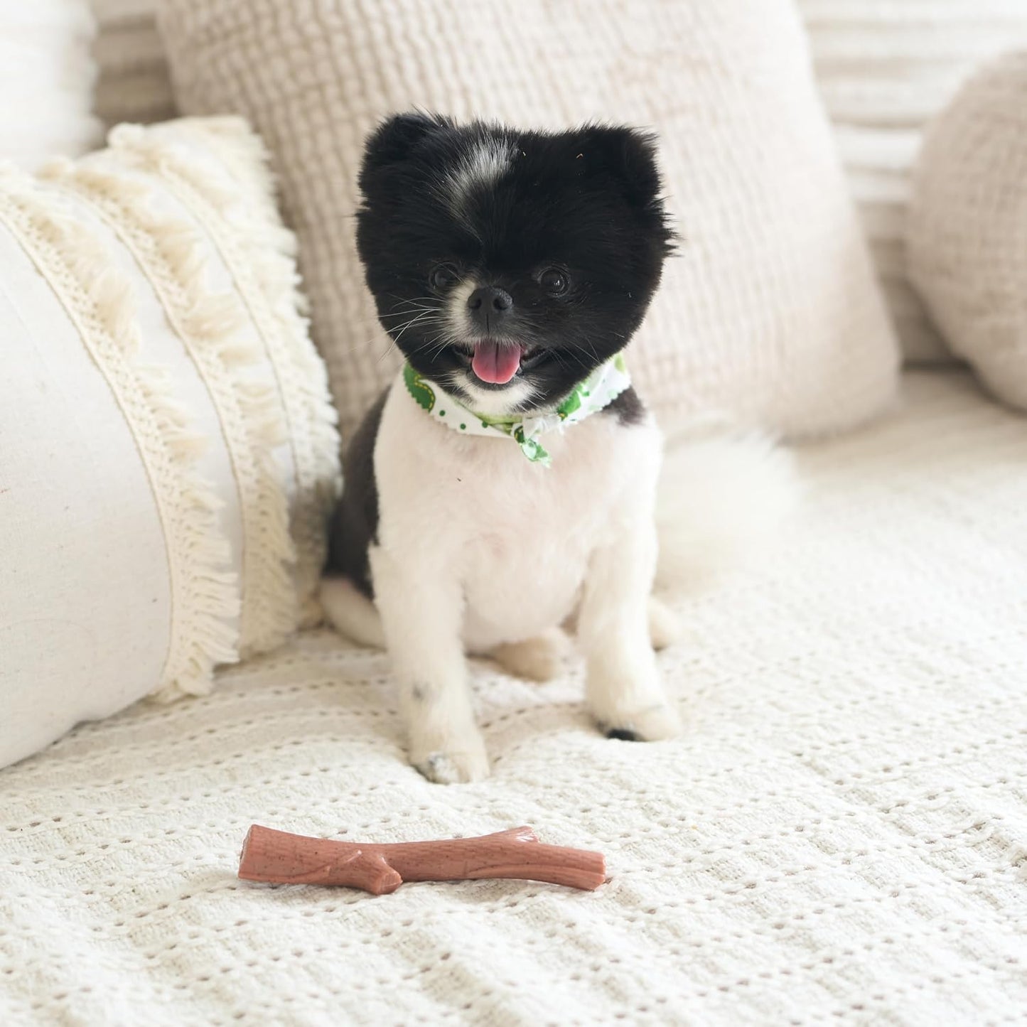 SPOT Bam-Bones Plus Branch -Bamboo Fiber & Nylon, Durable Long Lasting Dog Chew for Aggressive Chewers - Great Toy for Adult Dogs & Teething Puppies Under 60lbs, Non-Splintering, 5.75in, Beef Flavor - Image 10