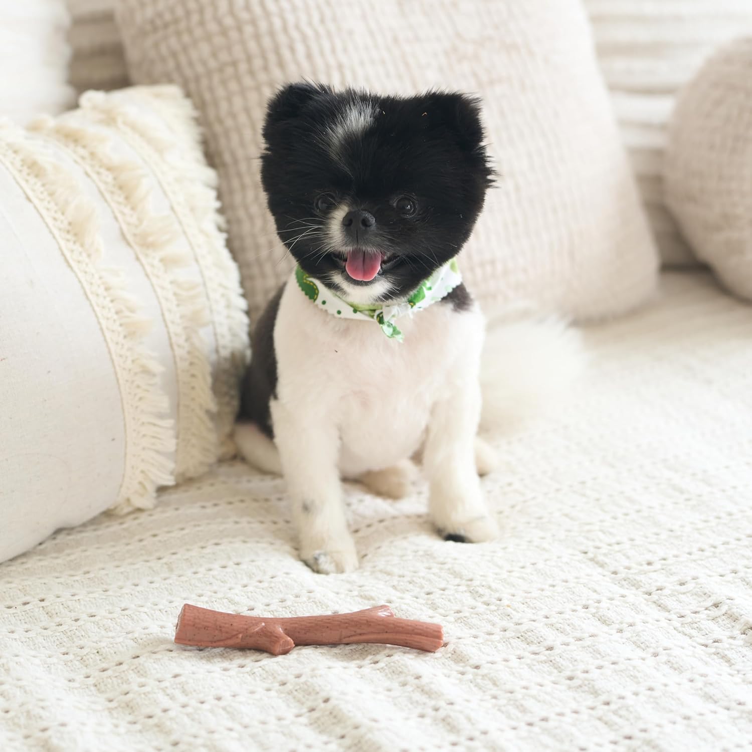 SPOT Bam-Bones Plus Branch -Bamboo Fiber & Nylon, Durable Long Lasting Dog Chew for Aggressive Chewers - Great Toy for Adult Dogs & Teething Puppies Under 60lbs, Non-Splintering, 5.75in, Beef Flavor - Image 10