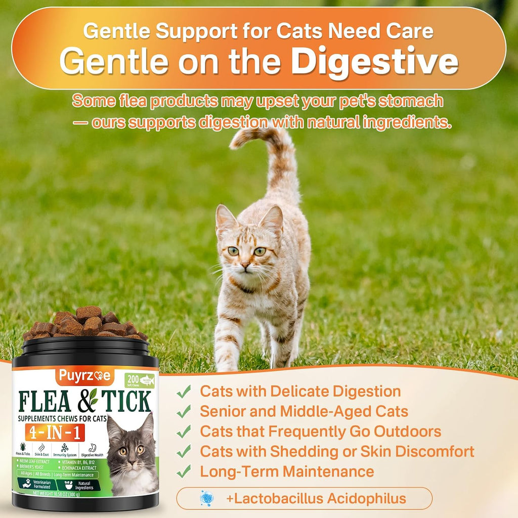 Puyrzoe 4-in-1 feline supplement container emphasizing the chicken cheese and salmon flavor options.