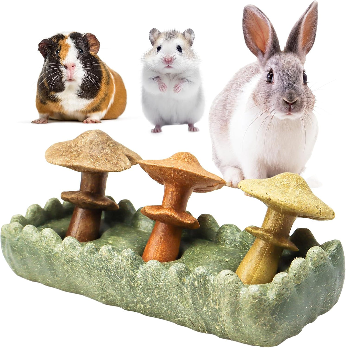 TEEWY guinea pig chew toys front view of the 4 piece edible set for small animals.