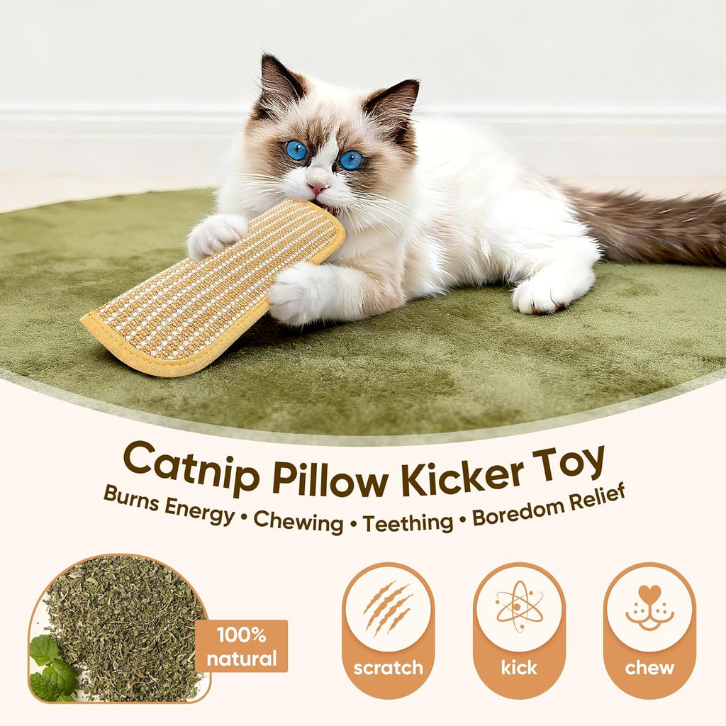 Kitten wrestling with organic catnip pillow toy
