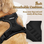 Rabbitgoo adjustable pet vest showing reflective strips