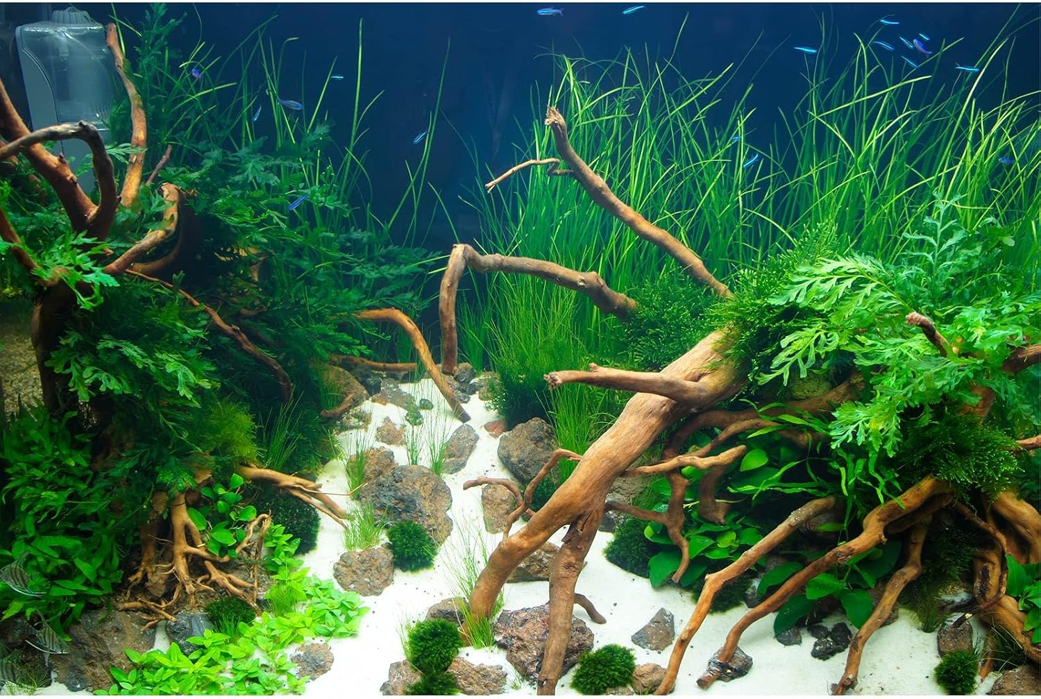 Aquarium Background Various Underwater Grass Plants Aquarium Backdrop Vivid and Fresh Green Aquatic Plants Stone River Bed and Dead Wood Purple Stone Fish Tank Background 24x16in - Image 11