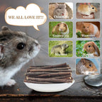 Sukh natural wooden chew toys for guinea pigs