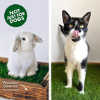 Disposable Fresh Patch unit for indoor pet use