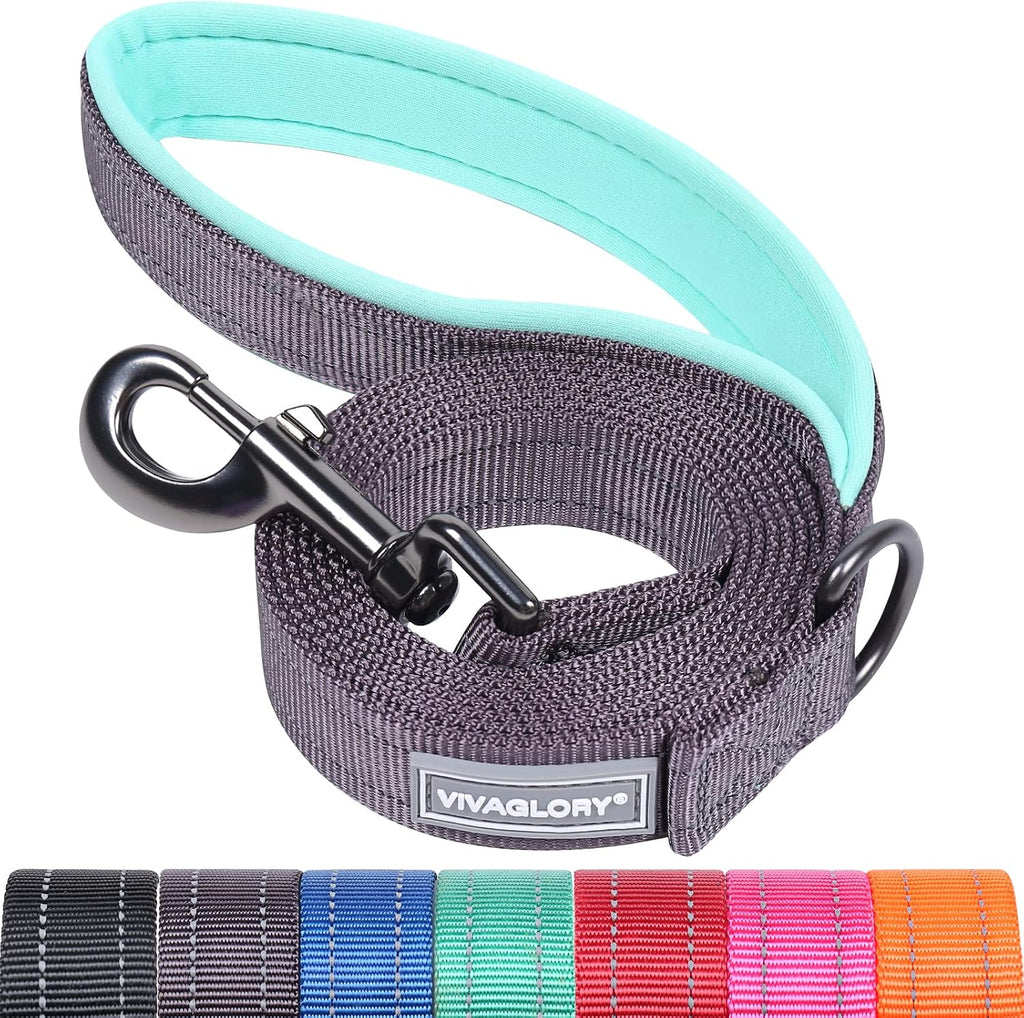 VIVAGLORY Dog Leash Dailyx Pet Leash with Soft Padded Handle for Training & Walking, Heavy Duty & Double Layer Nylon for Pet Puppy Collar, 3ft x 1in, Black - Image 12