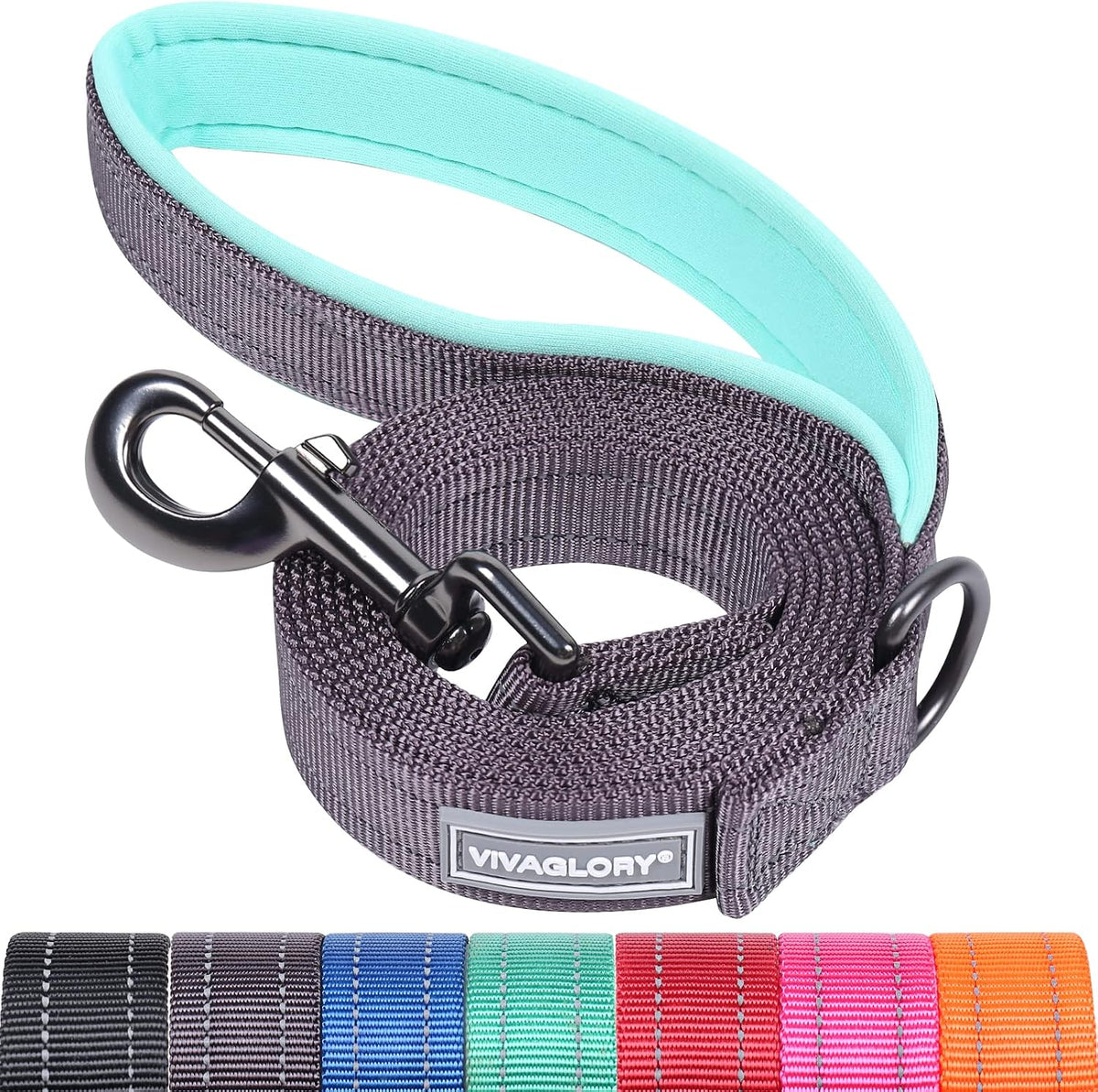 VIVAGLORY Dog Leash Dailyx Pet Leash with Soft Padded Handle for Training & Walking, Heavy Duty & Double Layer Nylon for Pet Puppy Collar, 3ft x 1in, Black - Image 12