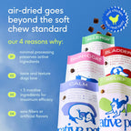 Healthy golden retriever dog sitting happily after receiving daily allergy chew supplement.