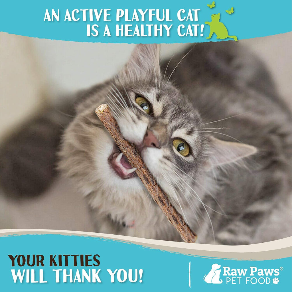 Raw Paws natural catnip alternative product details view