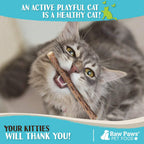 Raw Paws natural catnip alternative product details view