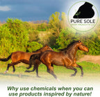 Pure Sole Bug Balm for Horses Bug Off Balm | Helps Protect Ponies, Cows, Donkeys & Other Farm Animals |Sweet Itch Belly Balm Ointment| Safe for Face, Ears, Eyes, and Wounds, 8 oz. - Image 9