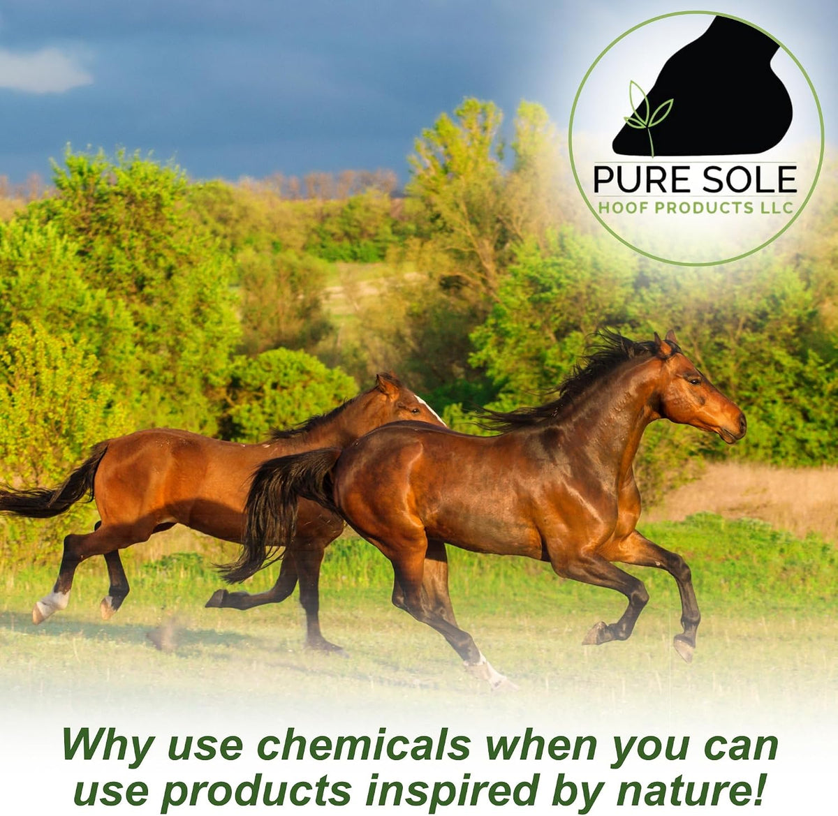 Pure Sole Bug Balm for Horses Bug Off Balm | Helps Protect Ponies, Cows, Donkeys & Other Farm Animals |Sweet Itch Belly Balm Ointment| Safe for Face, Ears, Eyes, and Wounds, 8 oz. - Image 9