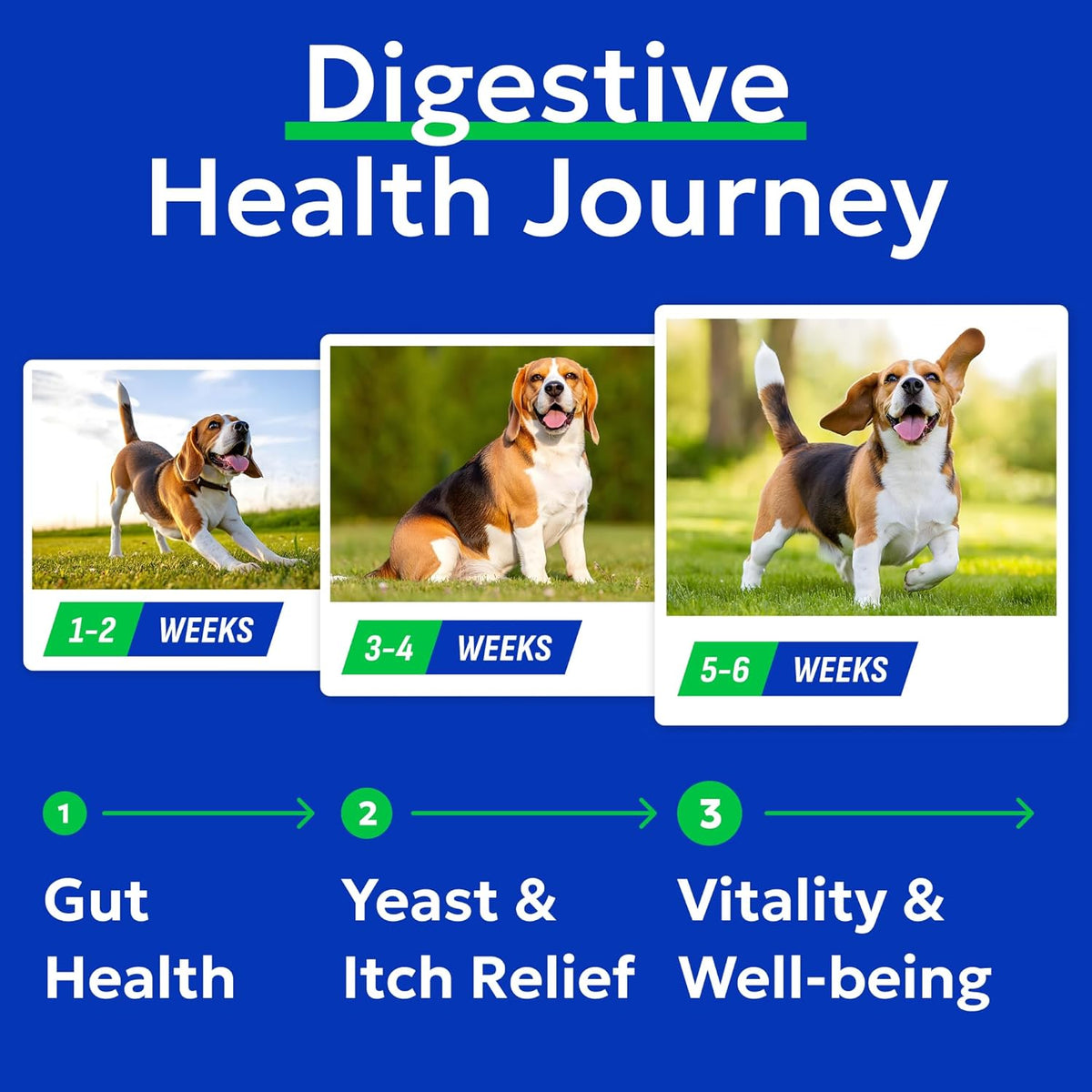 Bark and Spark probiotic chews chicken flavor packaging