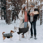 Kuoser winter dog apparel showing elastic chest detail