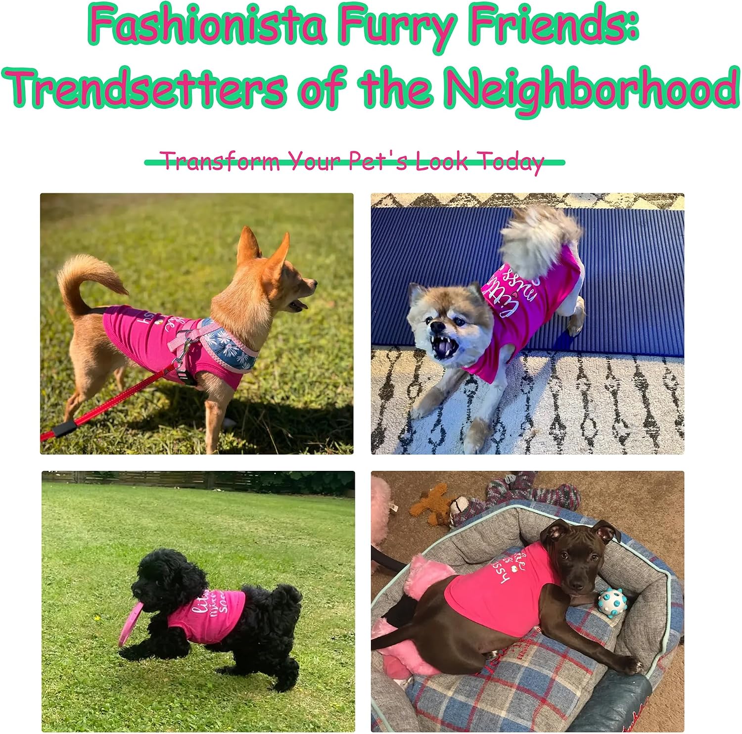 Detailed view of armholes on Paiaite dog shirt for movement