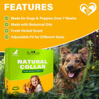 Gray botanical oil dog collar for pest prevention