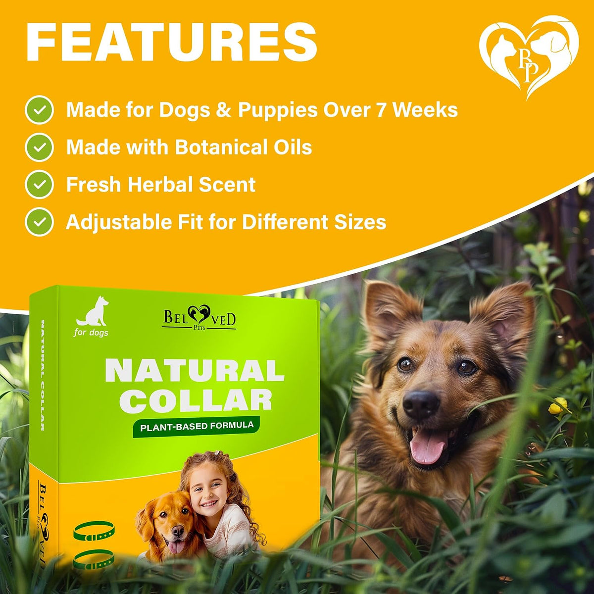 Gray botanical oil dog collar for pest prevention