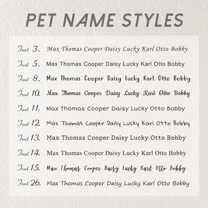 Customized stainless steel gold pet identification charm resting flat on a dog collar lifestyle shot