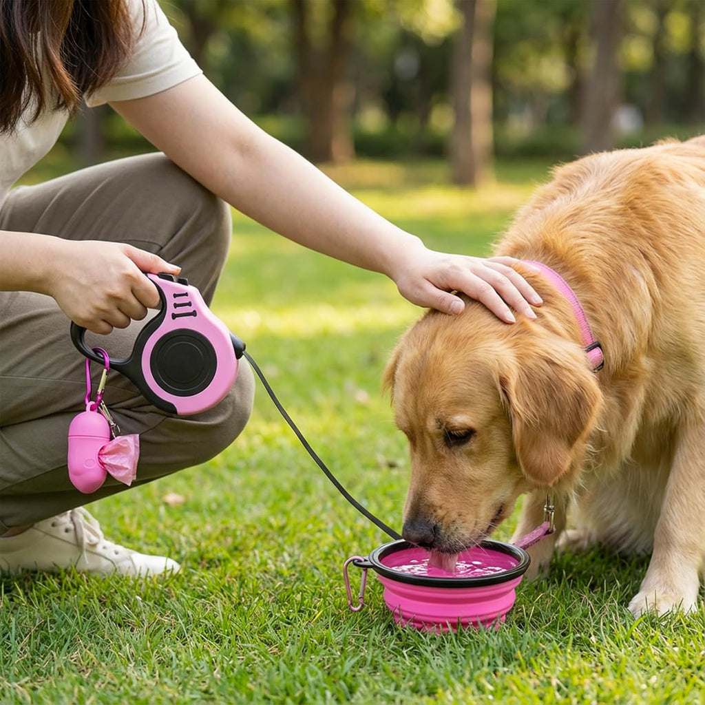 Petimp 16 foot retractable dog leash handle and nylon belt detail