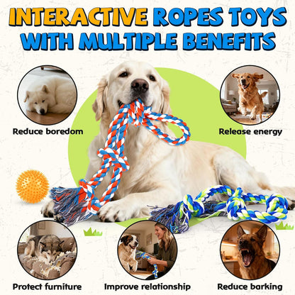 Complete packaging layout of the imported PatsFran three piece tough dog toy set