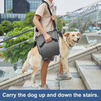 Coodeo emergency backpack dog lift harness black