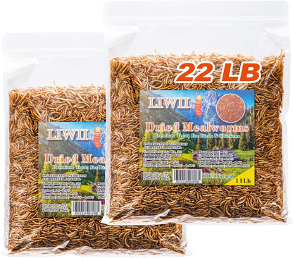 Hand holding Liwii premium dried mealworms