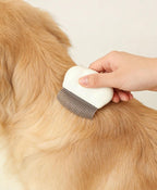 Compact and portable pet grooming tools set