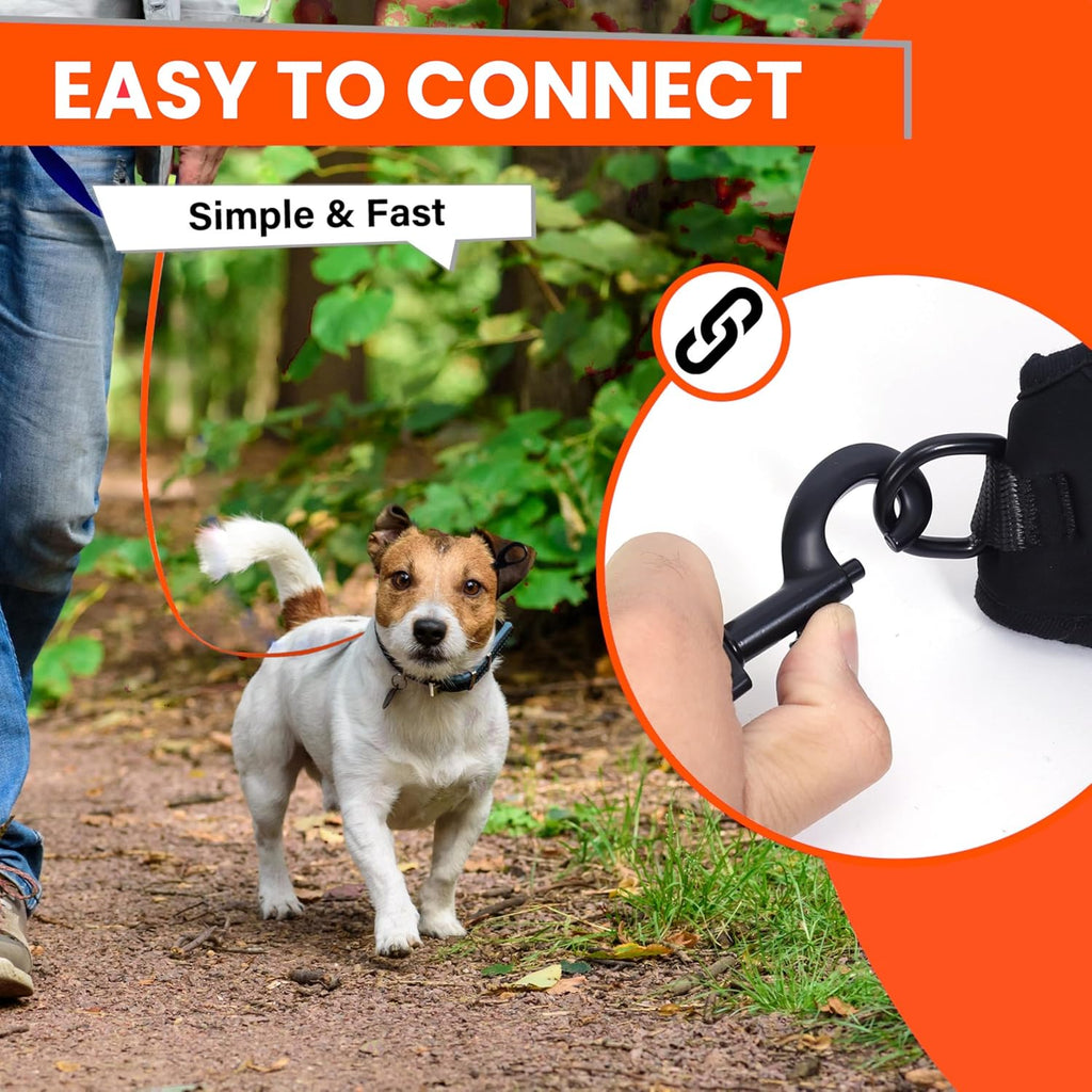 Loutep heavy duty triple stitched waterproof pet leash detailing durable build
