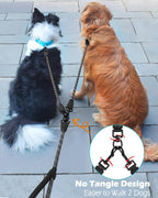 PetBonus heavy duty two dog leash reflective stitching detail for night safety