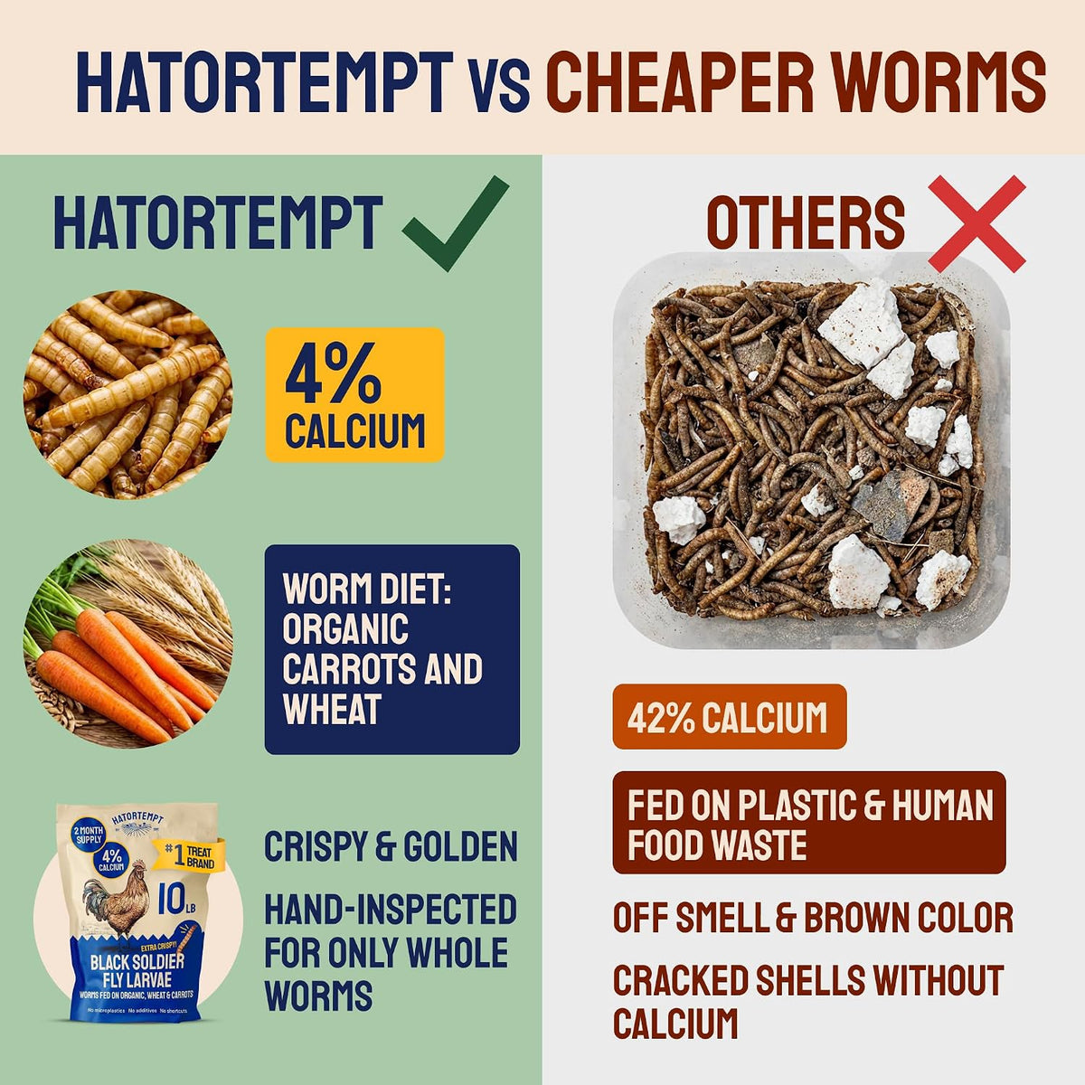 Hatortempt 10 pound bulk insect protein bag for laying hens