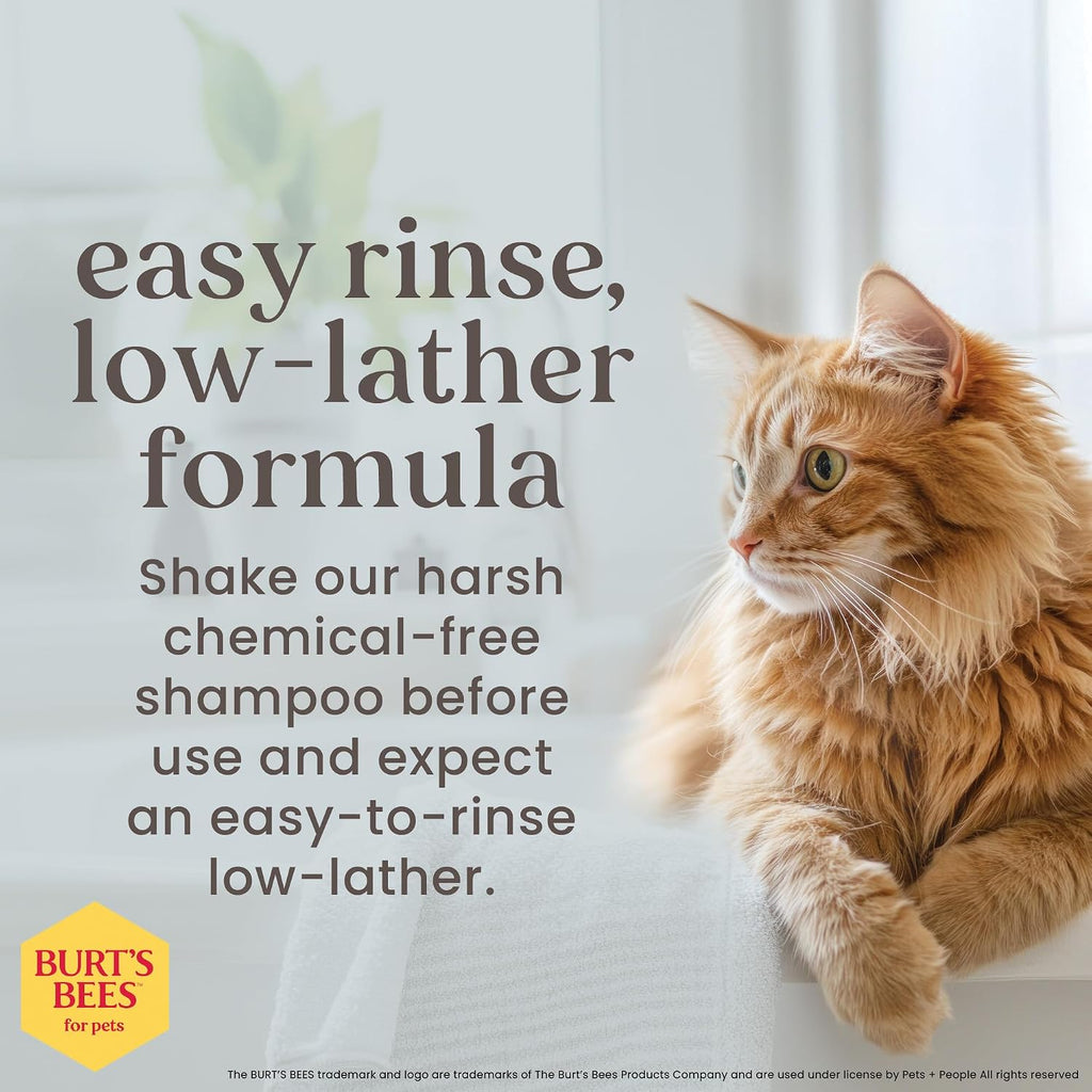 Burt's Bees for Pets Hypoallergenic Cat Shampoo, Shea Butter, 10 Fl Oz - Image 4