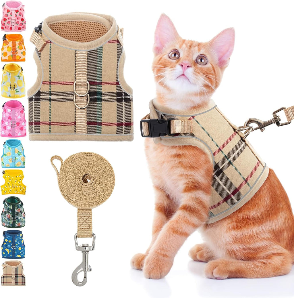 BINGPET Cat Harness and Leash Set Escape Proof, Fashionable Adjustable Mesh Harness for Walking, Soft Cute Breathable Easy Control Cat Vest for Kitten Puppy Small Medium Large Cats - Image 13