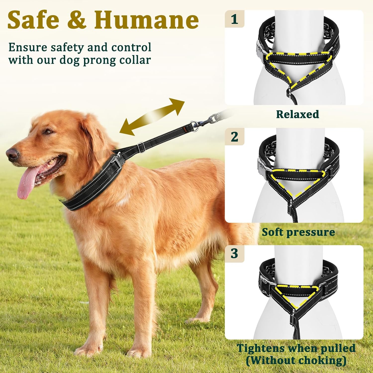 Mayerzon adjustable dog running collar showing the sliding length adjustment strap.