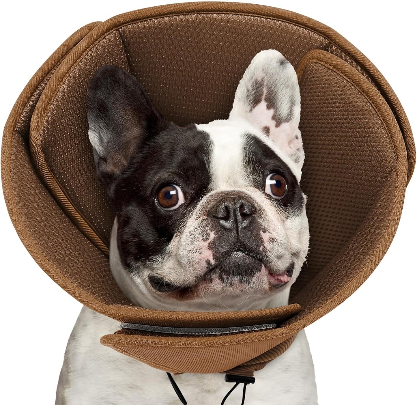 Queenmore Soft Dog Cones for Large Dogs,Comfy Dog Cone for Dogs to Stop Licking After Surgery,Adjustable Pet Cone Alternative for Wound Healing,Blue,X-Large - Image 15